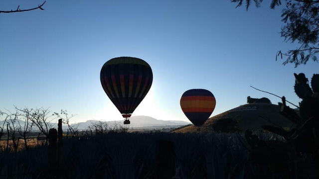  Montgolfières 