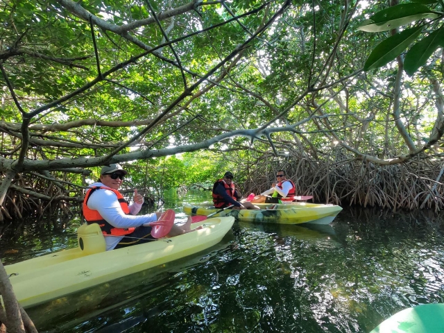  Rematura in kayak 