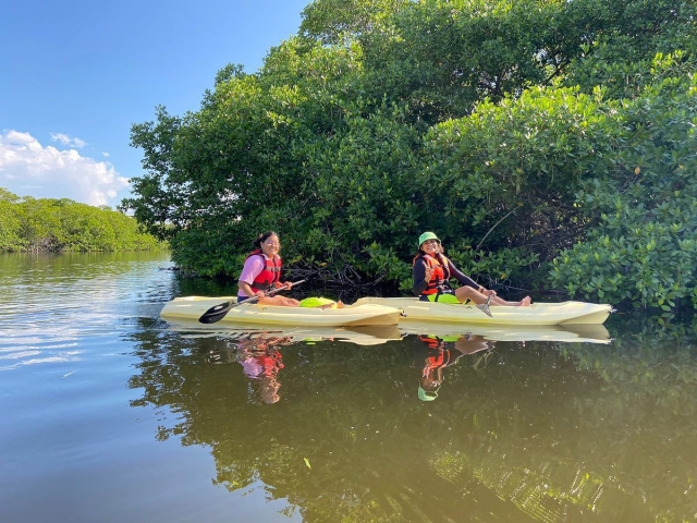  Mangrove tour 