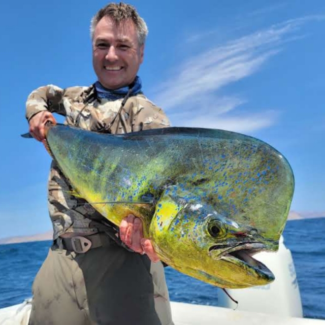  Extraordinary fish 