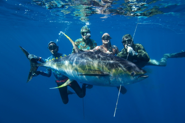  Spearfishing 