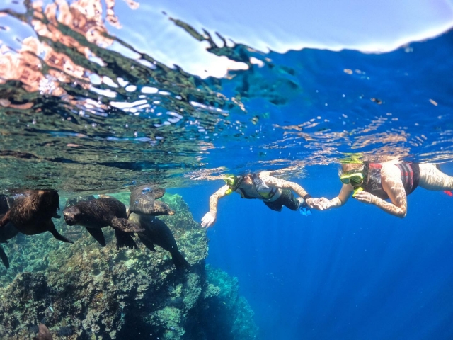  Swimming with a snorkel 