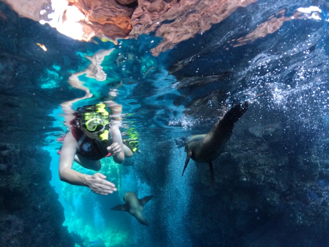  Exploring the depths of the sea 