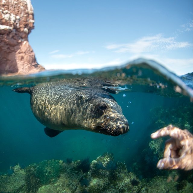 Contact with seals 