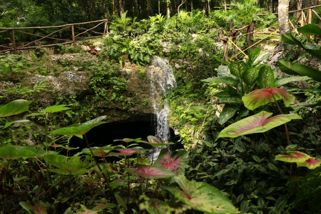 Vista al cenote