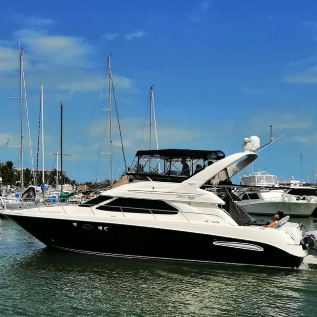 Prenota il tuo yacht 