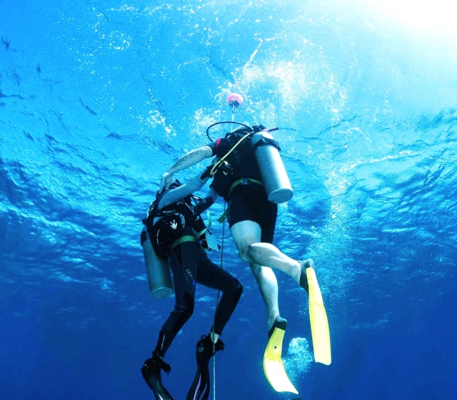 Rescue