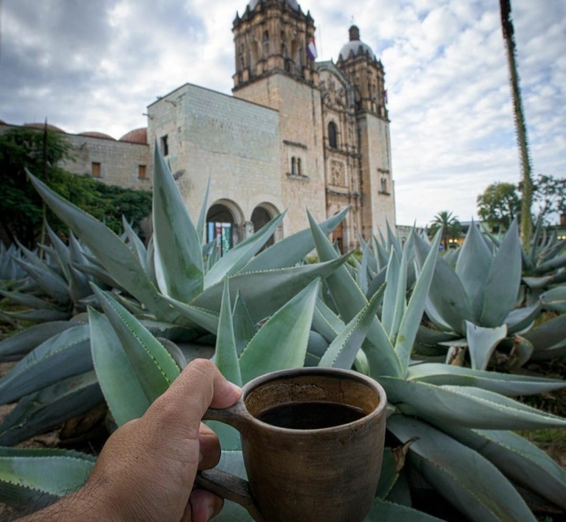  Dégustation de pulque 