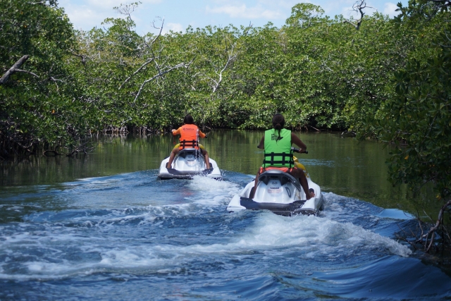  Waverunners nas manguezais 