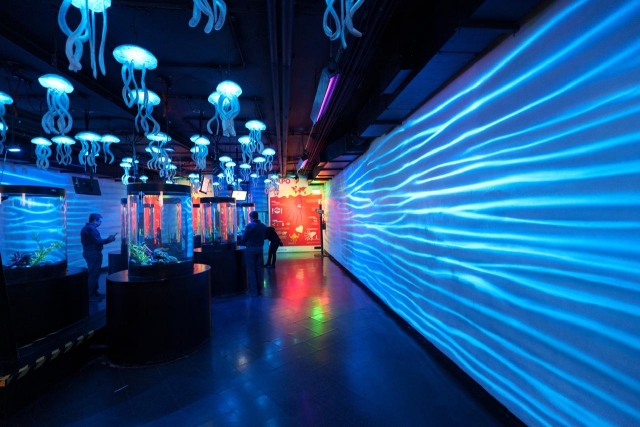  Jellyfish hallway 
