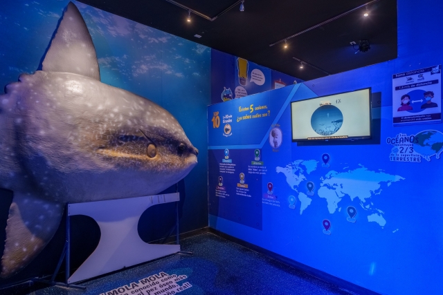  Ocean data 
