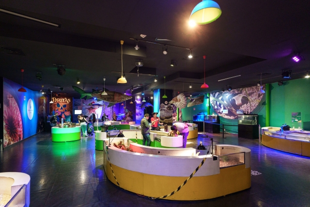  Pirate area in aquarium 