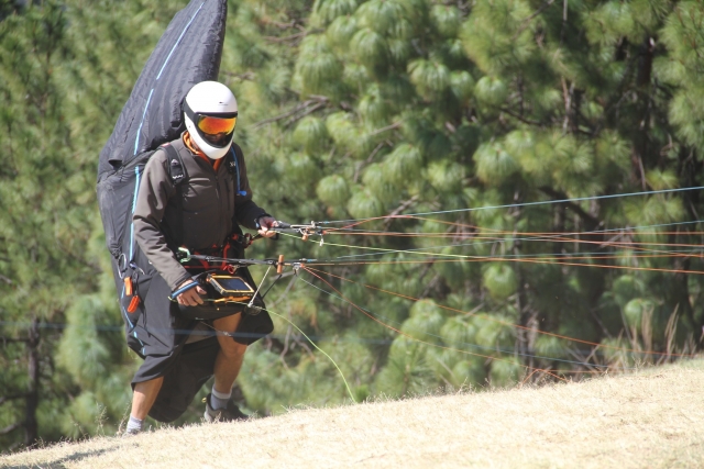  Taking flight 