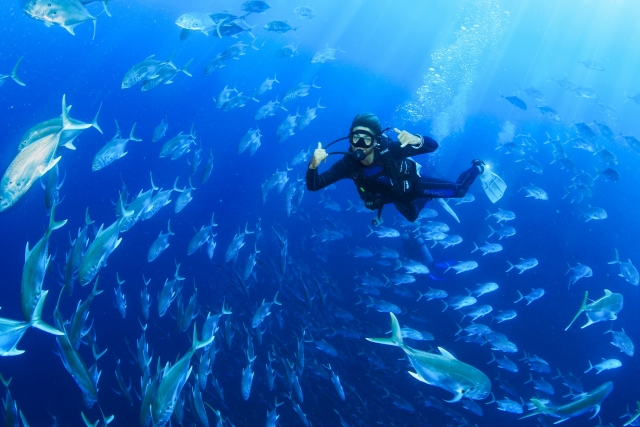 Buceando entre banco de peces