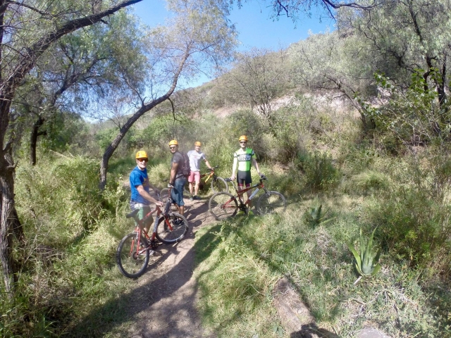  Bicicy Tour 