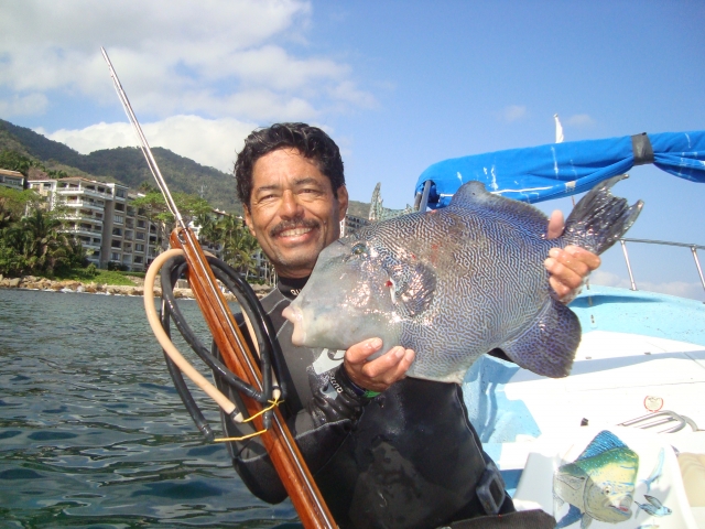  Speerfischen ( Drückerfisch ..) 