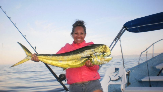  Dorado 