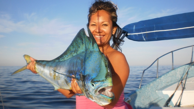  Dorado 