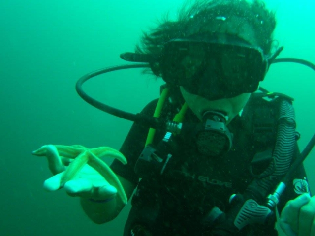 Avec une étoile de mer 