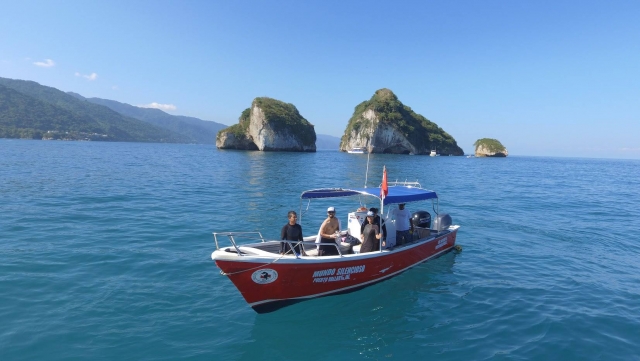  Excursion en bateau pour plonger 