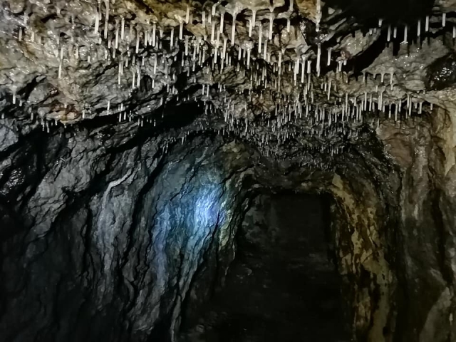  Explorer les mines 