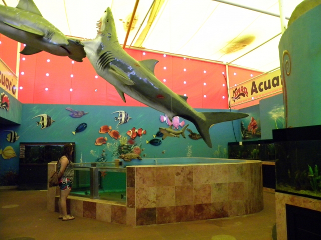  theme park 