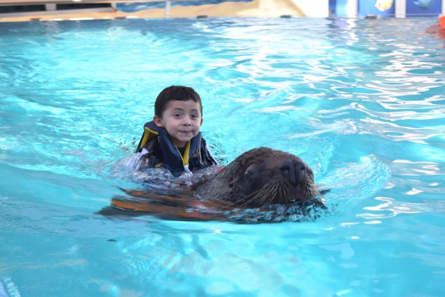  swim 