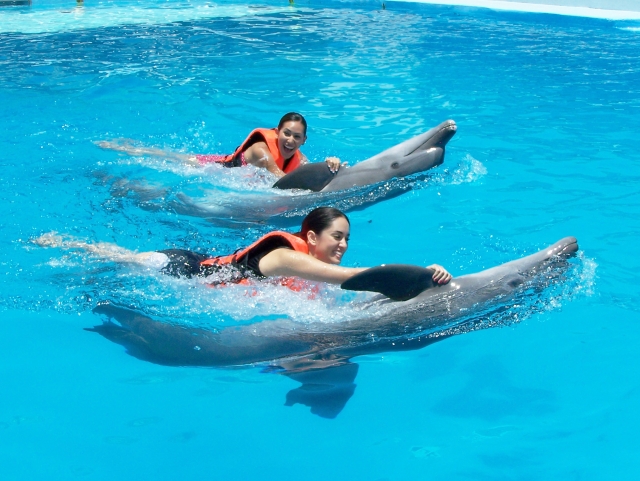  water park 