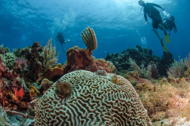 Island-Women-Scuba-Diving-Courses-Squalo-Adventures-Dive-Shop-25 