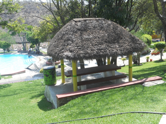  Palapas 