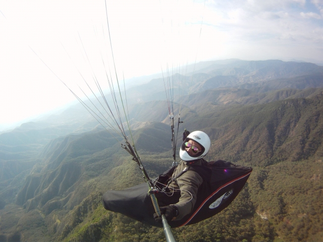 Pilotos profesionales