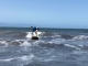 Surf Puerto Vallarta