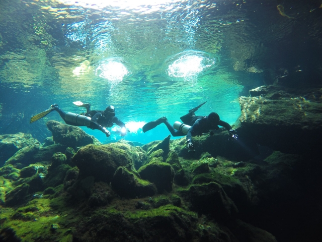  Plongée dans les eaux cristallines des cénotes