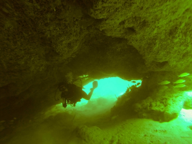 p-8664-inmersiones-en-cenotes1711132315_17111323404602.jpg