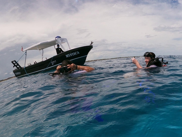 Cursos de buceo