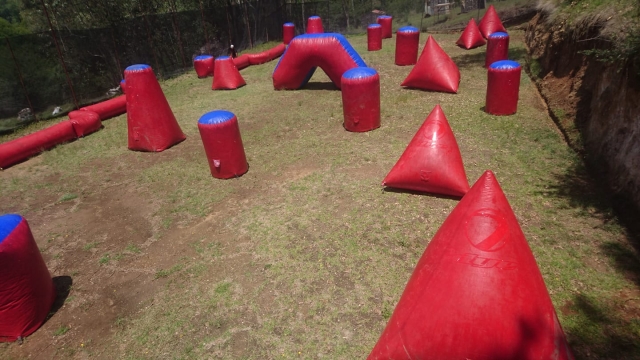  477443118_1145207310948002_24110281027689547_n