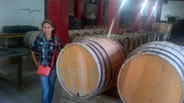 En la casa de vinos