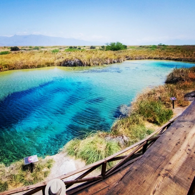 Poza Azul