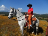 Passeio a cavalo de 3 horas pelo Valle de Bravo