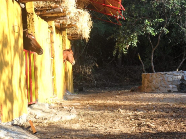  Caballerizas