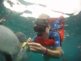 Tour di snorkeling alle Isole Marietas