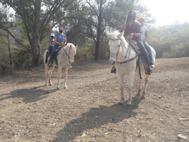 Caballos y tour