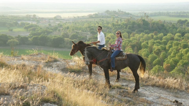  Walk as a couple