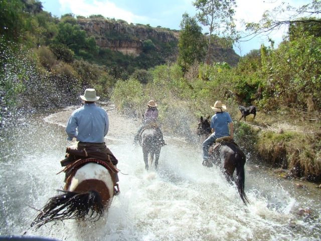  Galloping in the river 