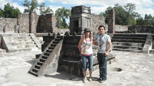  Guided tour 