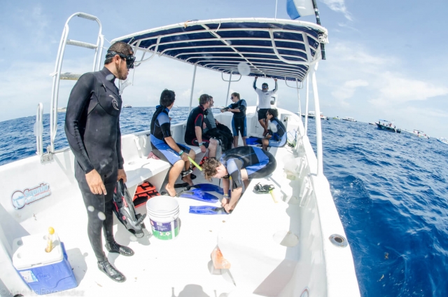  Ready to dive