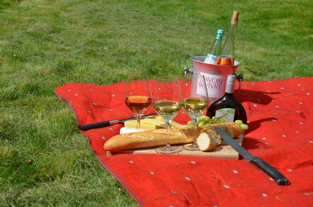  Preparare il picnic 
