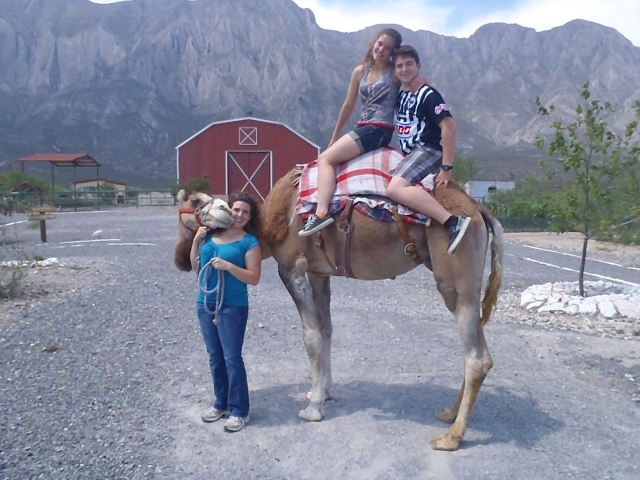 Camel Paseo 