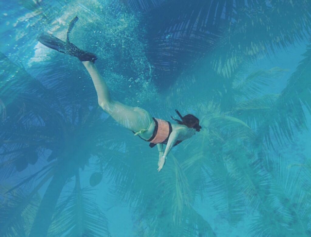  Snorkeling on the island 