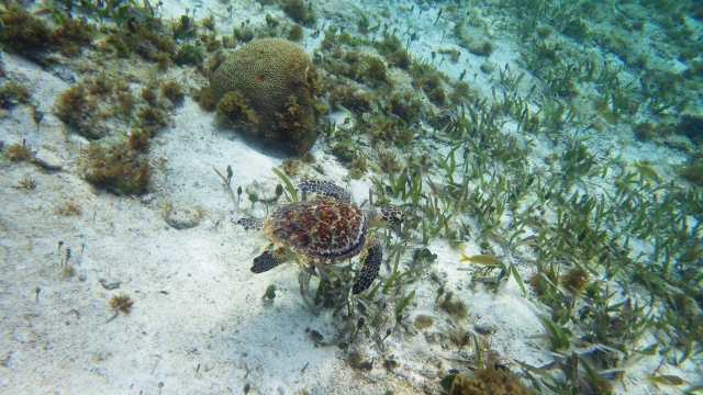  海上风光